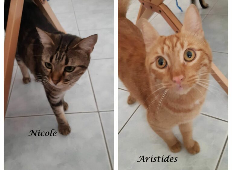 Nicole und Aristidis -vermittelt-