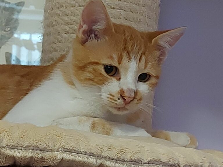 Marvi und Mathi -vermittelt-